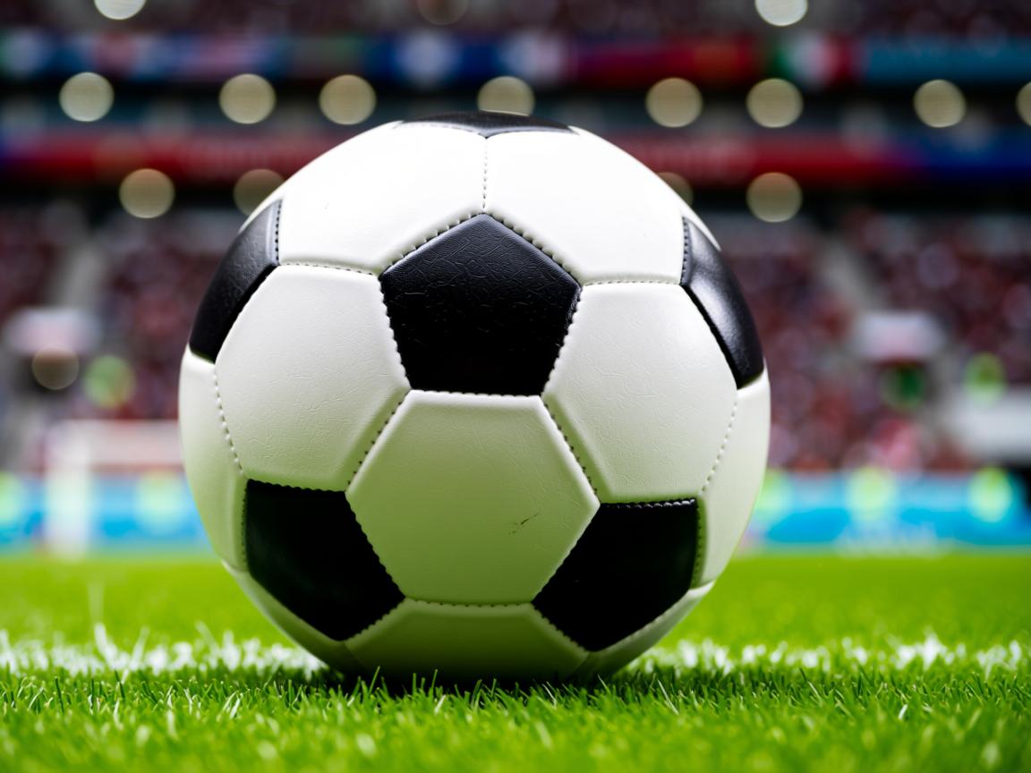 ac米兰官网-全国青少年冬季运动会筹备工作全面启动，第十四届全国冬季运动会设置竞赛项目  第3张