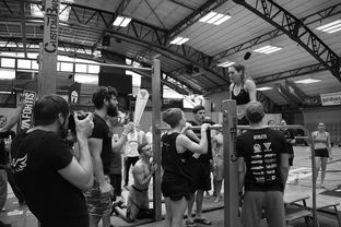 米兰体育app下载-“2025世界游泳锦标赛：水上芭蕾精彩纷呈，艺术之美与竞技并行”