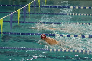 米兰体育平台-全国游泳冠军赛新星频出成绩突破预期，全国游泳冠军赛2021成绩  第3张